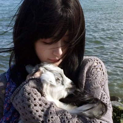 假死寻凶海报